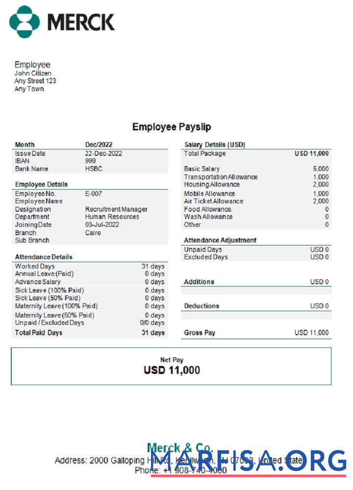 Downloadable USA Merck & Co. pharmaceutical company pay stub download for verification